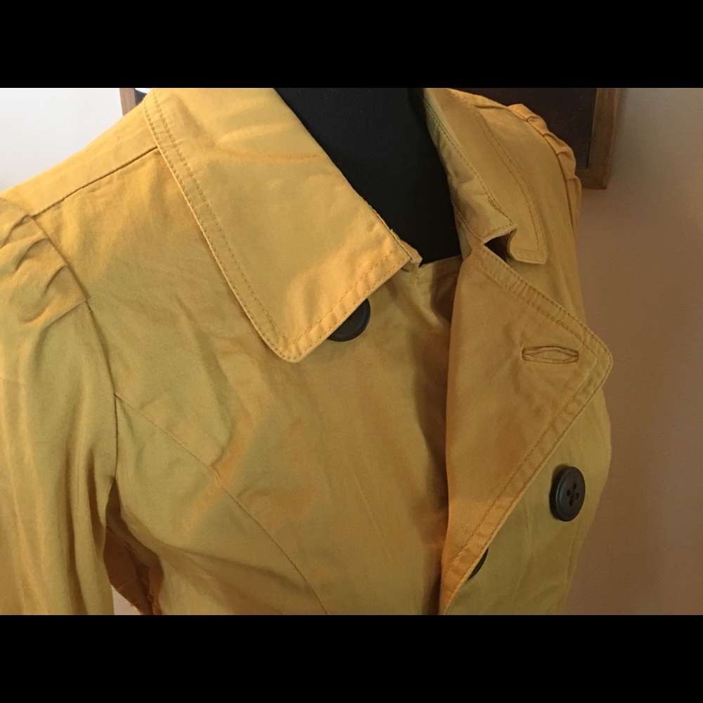American Rag Cia Jacket - Picture 2 of 4